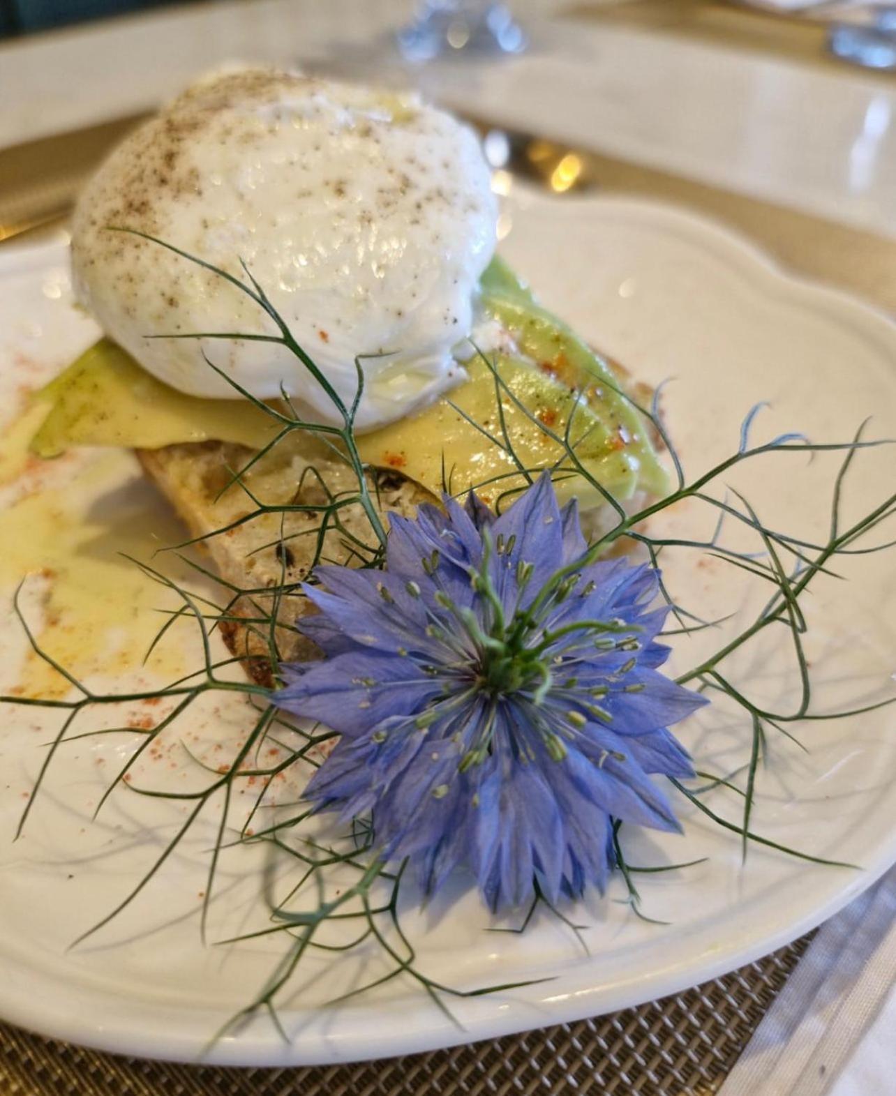 Blumen Hotel Boutique 카넬라 외부 사진